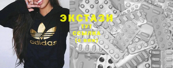 стаф Новокубанск