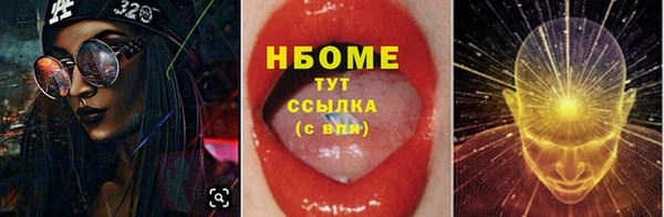 стаф Новокубанск