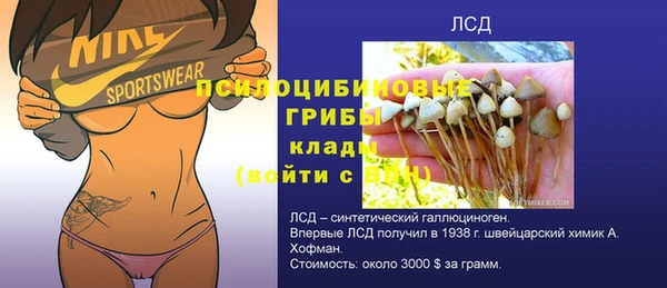 гидропоника Новодвинск