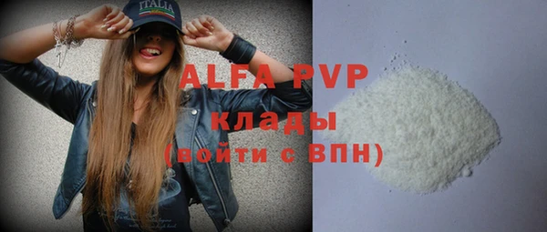 сатива Новозыбков
