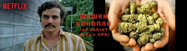 гидропоника Новодвинск