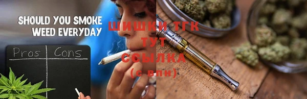 сатива Новозыбков