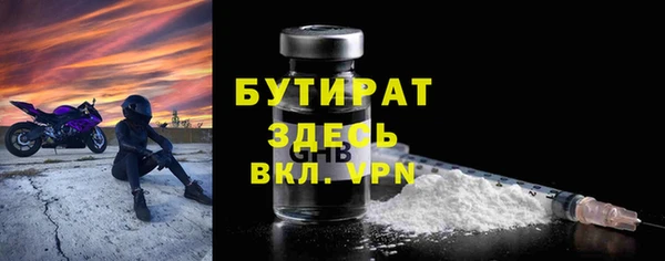 сатива Новозыбков
