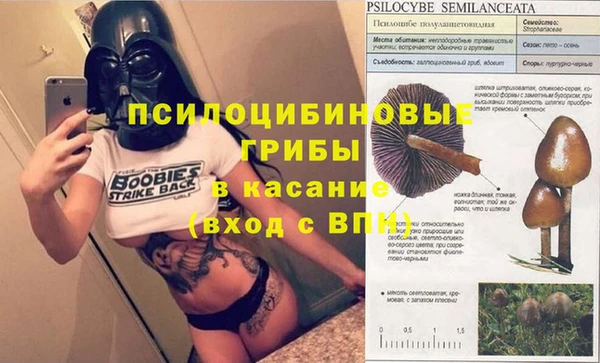 прущие крисы Нея