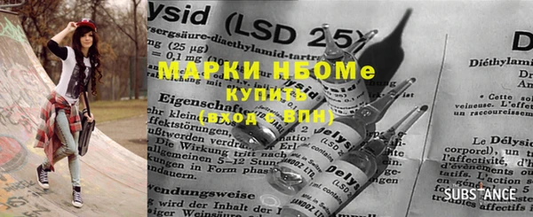 сатива Новозыбков