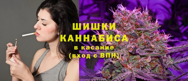 стаф Новокубанск