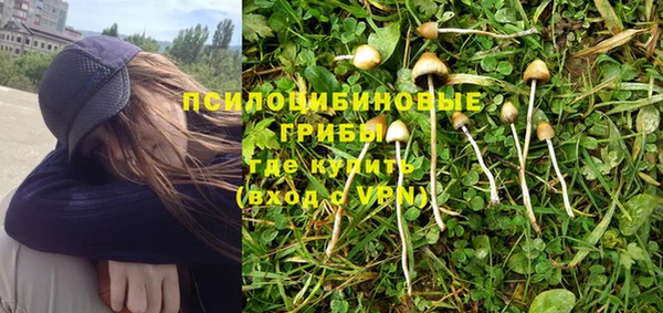 прущие крисы Нея