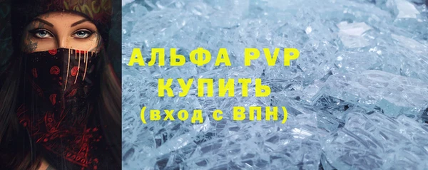 сатива Новозыбков