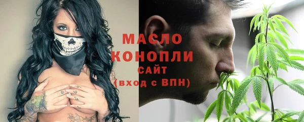 сатива Новозыбков