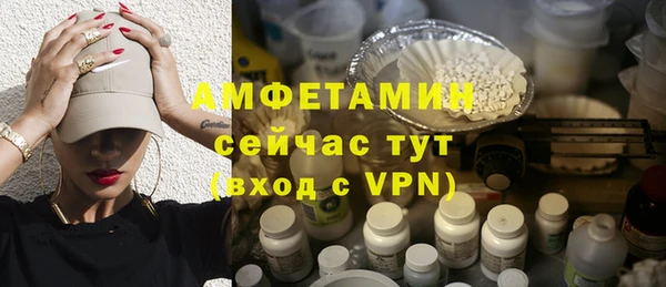 сатива Новозыбков