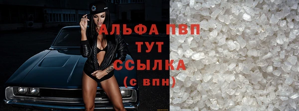 стаф Новокубанск