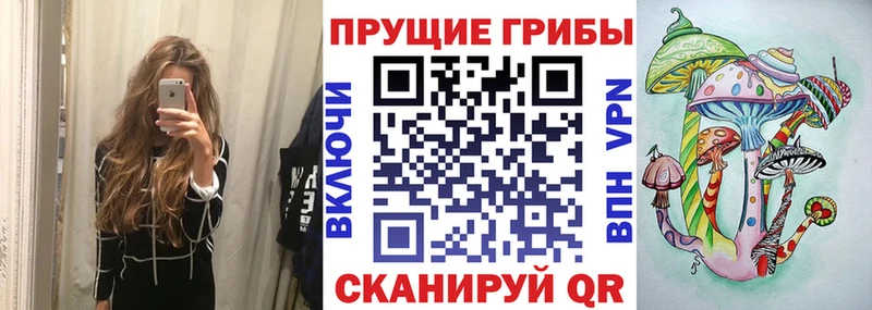 Псилоцибиновые грибы Cubensis  Морозовск 