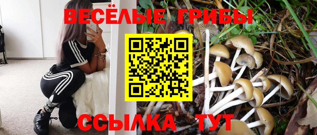 наркошоп  Морозовск  Псилоцибиновые грибы Magic Shrooms 