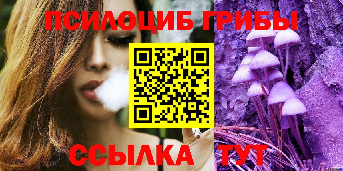 Псилоцибиновые грибы мицелий Морозовск