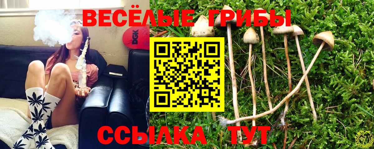 Псилоцибиновые грибы Psilocybe  Вход с VPN  даркнет сайт  Морозовск 